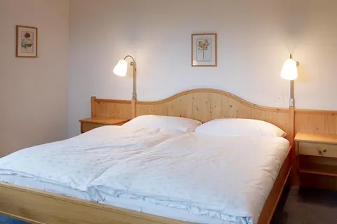 Hotel Alpina Parpan foto 25