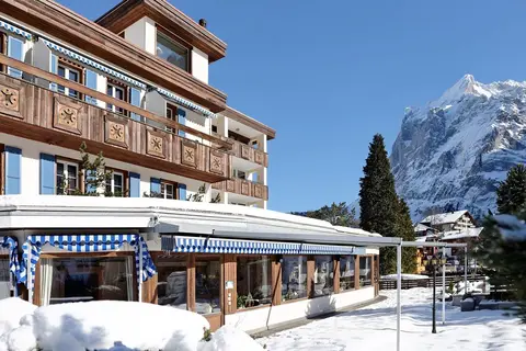 Spinne in Grindelwald