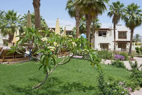 Amphoras Blu in Sharm El Sheikh — foto 24