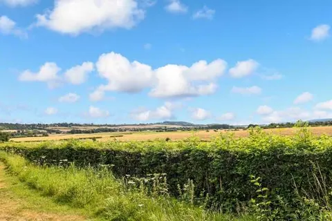 Summio Vakantiepark Reevallis foto 15