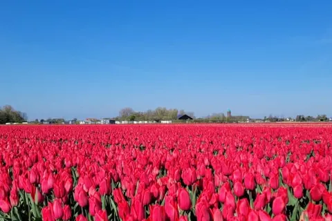 Camping De Lage Werf foto 13