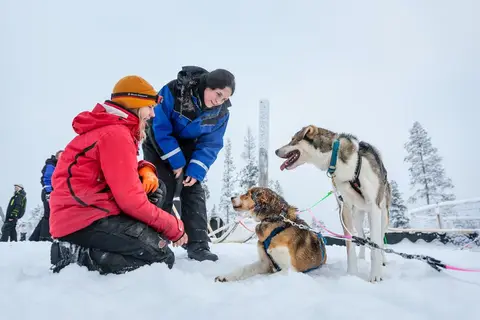 4 daagse excursiereis Muotka Wilderness Week in Inari — foto 5