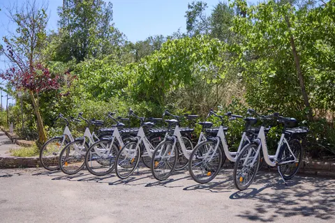 Camping Costa D Argento foto 6