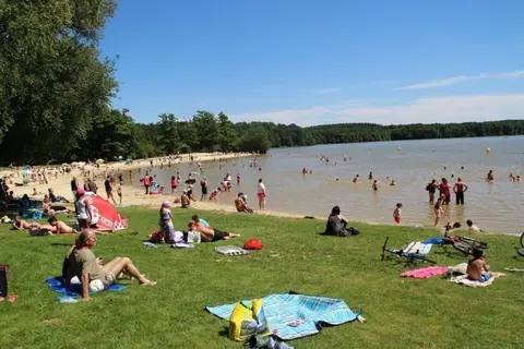 La Forêt in Sillé-le-Guillaume — foto 3