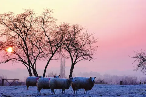 Kerst in Zuid-Limburg, Slenaken in Heijenrath — foto 3