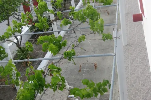 Stenna Apartments in Αντιμάχεια — foto 15