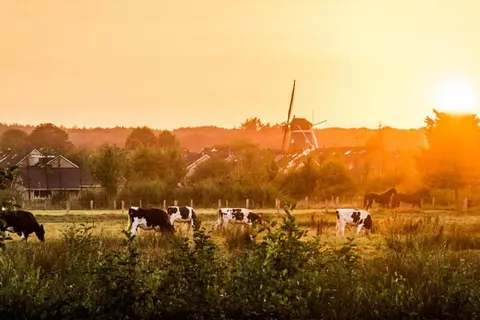 Leonardo Hotel Hengelo City Center foto 25