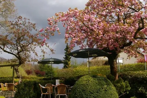 Landhotel De Hoofdige Boer foto 12