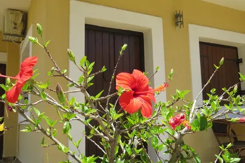 Villa Medusa in Chersonissos — foto 23