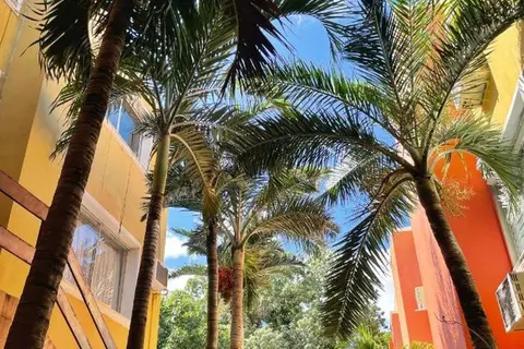 Suites Cancun Center in Cancùn — foto 6