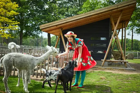 Camping Terspegelt foto 13