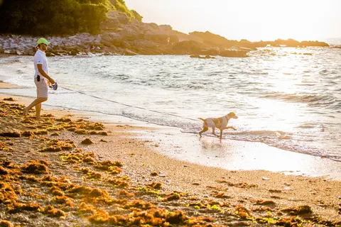 Camping Atlantica foto 10