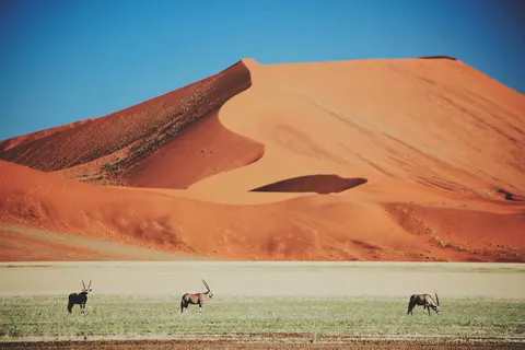 Discover Spectacular Namibia foto 4