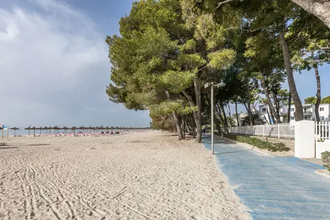 Lime Playa de Alcudia in Alcúdia — foto 22