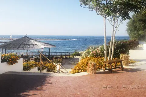 Apulia 70 Holidays in Polignano A Mare — foto 14