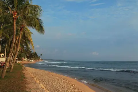 Citrus Hikkaduwa in Hikkaduwa — foto 27