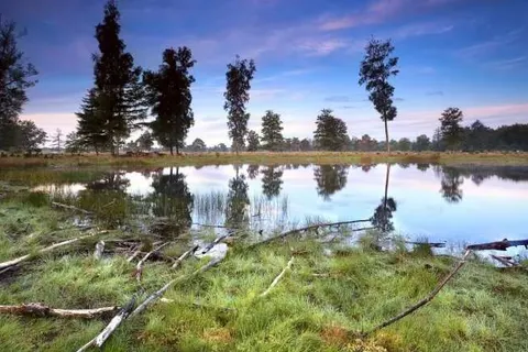 Hotel Martensplek foto 25