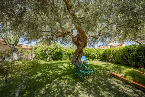 Baia del Capitano in Cefalù — foto 16