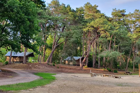 Camping Horstmannsbos foto 12