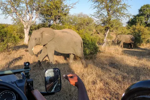 The Ultimate South Africa Experience foto 1