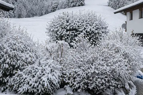 Appartementen Hack in Kirchberg in Tirol, foto 12