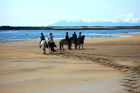 Natuurlijk IJsland foto 20