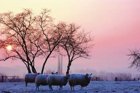 Kerst in Zuid-Limburg, Slenaken in Heijenrath — foto 3