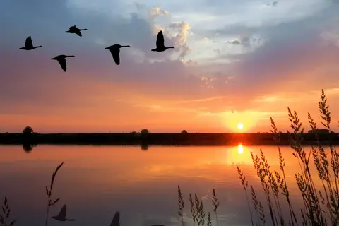 De Wiedense Meren in Wanneperveen — foto 5
