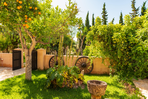 Xarc Agroturisme foto 2