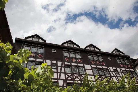 Hotel Felsenkeller in Rüdesheim am Rhein — foto 8