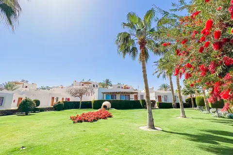 Sharm Club Beach Resort in Sharm El Sheikh — foto 27