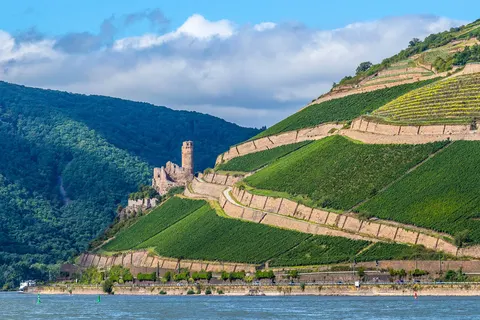 Over de Rijn naar Rüdesheim vanaf Rotterdam foto 12