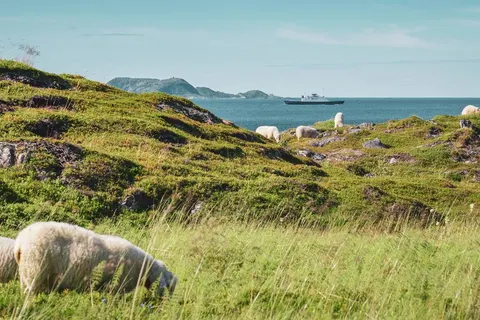 A Northern Norway & Lofoten Adventure foto 5