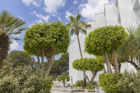 HM Isabela - Adults Only in Santa Ponsa — foto 29