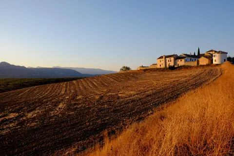 Hotel Cortijo del Marques in Albolote — foto 23