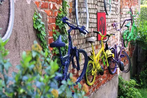 Poli in San Vittore Olona, foto 23