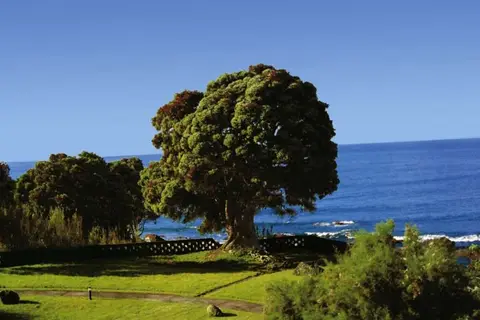 Pestana Bahia Praia in Vila Franca do Campo, foto 28