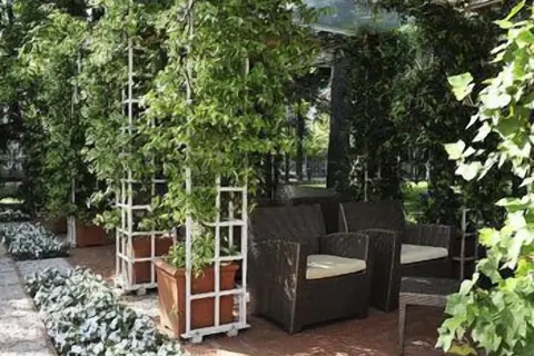Hotel delle Rose Terme Wellness & Spa in Monticelli Terme, foto 29
