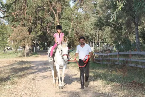 Camping Iscrixedda in Lotzorai — foto 13