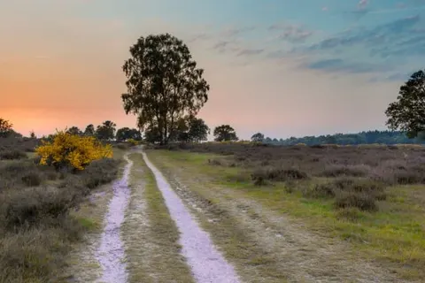 Landgoed de Horst foto 23