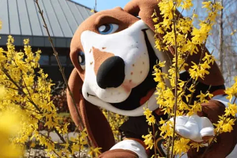 Dormio Resort Maastricht foto 8