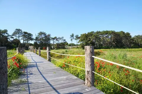 Lino delle Fate Eco Village Resort in San Michele al Tagliamento, foto 18