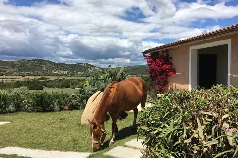 Borgo Di Campagna in Poltu San Pàulu/Porto San Paolo — foto 10