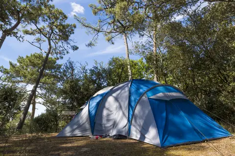 Flower Camping Les Dunes in Longeville-sur-Mer — foto 18
