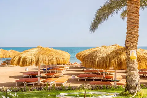 Caribbean World Resort in سفاجا — foto 13