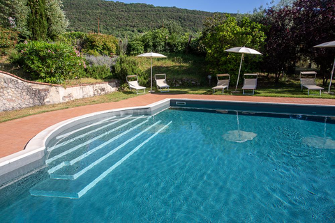 Il Bagolaro in Nerola — foto 10