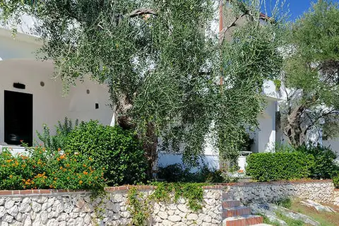 Baia Degli Aranci in Vieste — foto 15