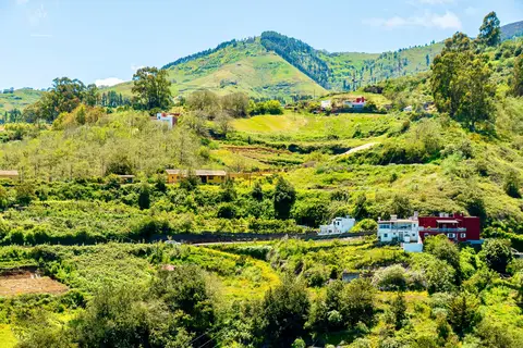 Finca Natura Canaria in Moya, foto 2