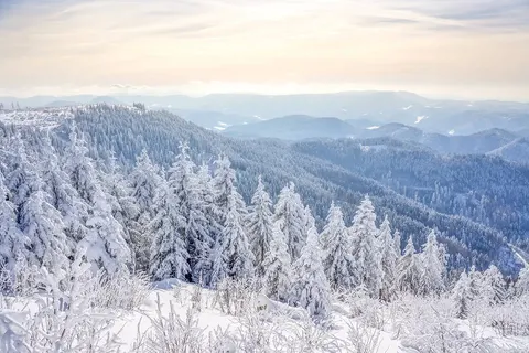 Kerst in het Zwarte Woud, Endingen foto 5