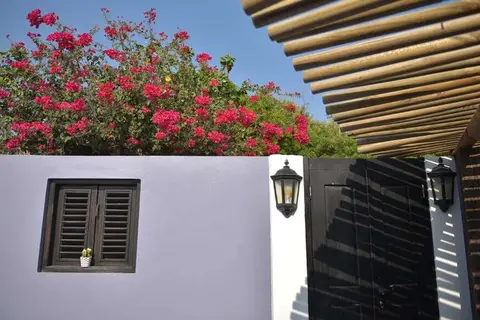 Mammaloe's in Santa Cruz — foto 26